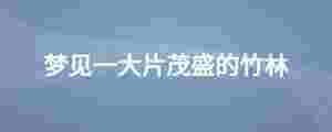 夢見一大片茂盛的竹林