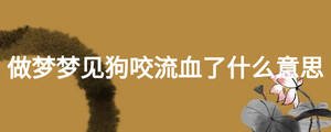 做夢夢見狗咬流血了什么意思
