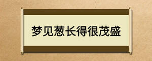 夢(mèng)見(jiàn)蔥長(zhǎng)得很茂盛