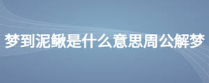 夢到泥鰍是什么意思周公解夢