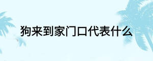 狗來到家門口代表什么