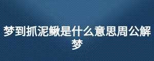 夢到抓泥鰍是什么意思周公解夢