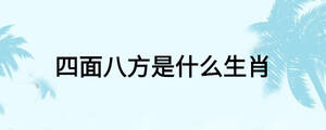 四面八方是什么生肖