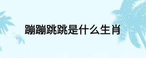 蹦蹦跳跳是什么生肖