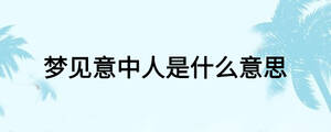 夢(mèng)見意中人是什么意思