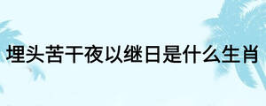 埋頭苦干夜以繼日是什么生肖