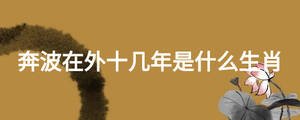 奔波在外十幾年是什么生肖