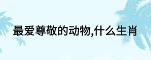 最愛尊敬的動物,什么生肖