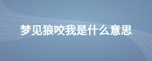夢(mèng)見狼咬我是什么意思