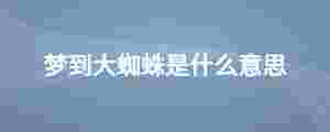 夢到大蜘蛛是什么意思