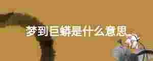 夢到巨蟒是什么意思