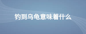 釣到烏龜意味著什么