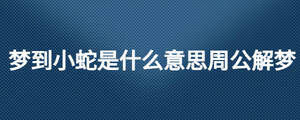 夢(mèng)到小蛇是什么意思周公解夢(mèng)