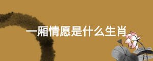 一廂情愿是什么生肖