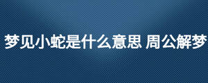 夢見小蛇是什么意思 周公解夢