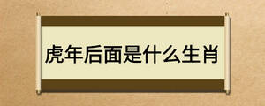虎年后面是什么生肖