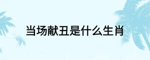 當場獻丑是什么生肖