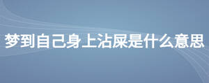 夢到自己身上沾屎是什么意思