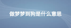 做夢夢到狗是什么意思