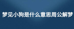 夢見小狗是什么意思周公解夢