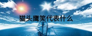 貓頭鷹笑代表什么