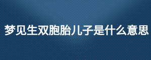 夢見生雙胞胎兒子是什么意思