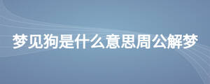 夢見狗是什么意思周公解夢