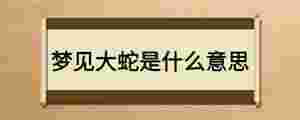 夢見大蛇是什么意思
