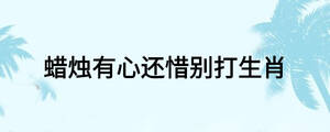 蠟燭有心還惜別打生肖