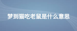 夢到貓吃老鼠是什么意思
