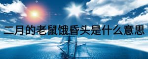 二月的老鼠餓昏頭是什么意思