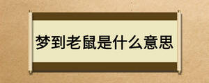 夢到老鼠是什么意思