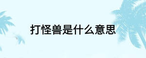 打怪獸是什么意思