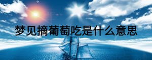 夢見摘葡萄吃是什么意思