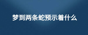 夢(mèng)到兩條蛇預(yù)示著什么
