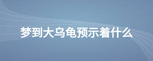夢到大烏龜預示著什么