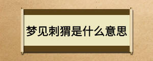 夢見刺猬是什么意思