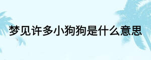 夢(mèng)見許多小狗狗是什么意思