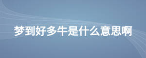 夢(mèng)到好多牛是什么意思啊