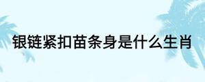 銀鏈緊扣苗條身是什么生肖