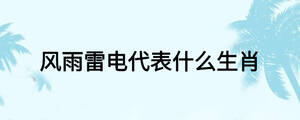風(fēng)雨雷電代表什么生肖