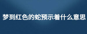 夢(mèng)到紅色的蛇預(yù)示著什么意思