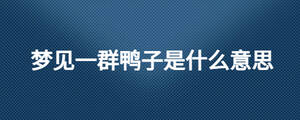 夢見一群鴨子是什么意思