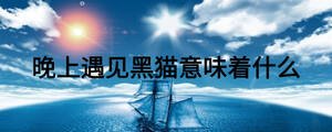晚上遇見黑貓意味著什么