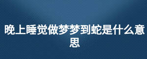 晚上睡覺做夢夢到蛇是什么意思