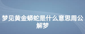 夢(mèng)見黃金蟒蛇是什么意思周公解夢(mèng)