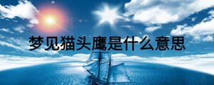 夢見貓頭鷹是什么意思