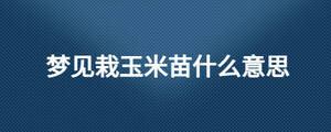 夢(mèng)見栽玉米苗什么意思