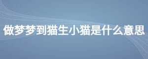 做夢(mèng)夢(mèng)到貓生小貓是什么意思