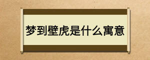 夢(mèng)到壁虎是什么寓意